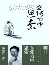 在张力中思索小说