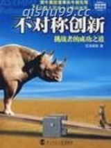 不对称创新小说