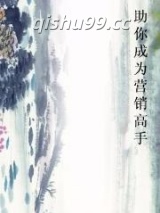 助你成为营销高手小说