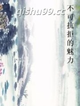不可抗拒的魅力小说