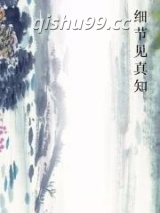 细节见真知小说