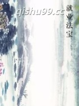 就业法宝小说