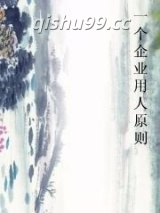 一个企业用人原则小说
