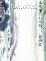 成功在21世纪--营销篇小说