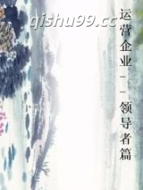 运营企业--领导者篇小说
