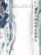 21世纪中国法律走向何方小说