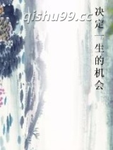 决定一生的机会小说